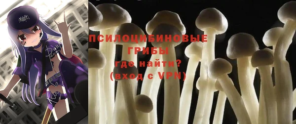 крисы Алзамай