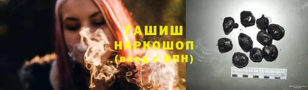 крисы Алзамай