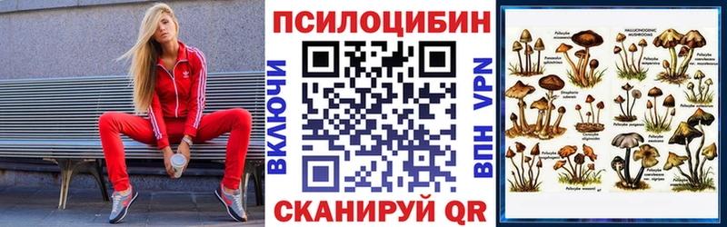 Псилоцибиновые грибы Magic Shrooms  хочу наркоту  Кола 