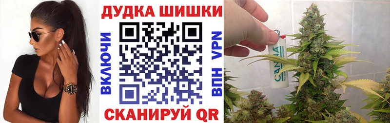 где продают   Кола  Каннабис сатива 